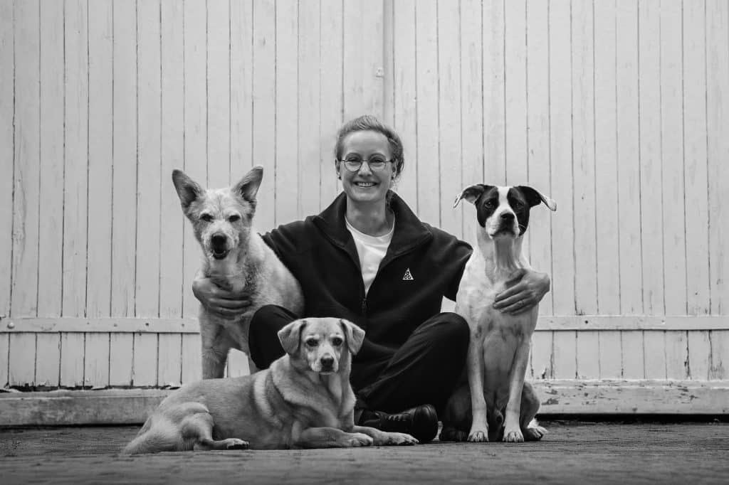 Das Chirodogs-Team für Hundehysiotherapie Berlin: Lou, Mattheo, Harry und manu in Blankenfelde
